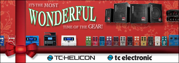 TC-Helicon TC Electronic Most Wonderful Time Of The Gear